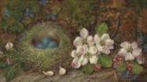Apple Blossom And A Birds Nest, On A Mossy Bank