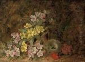 Hawthorn Blossom, Primroses And A Bird's Nest On A Mossy Bank