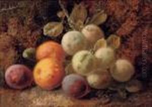 A Bird's Nest And Hawthorn Blossom; And Plums And Greengages