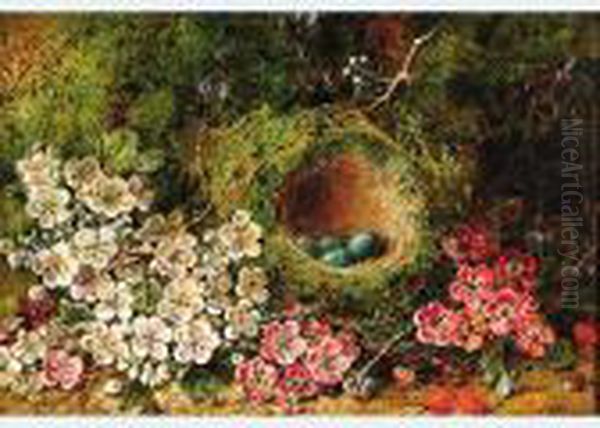 Bird""""s Nest And Spring Blossoms On A Mossy Bank - view 1