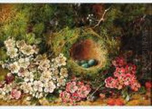 Bird""""s Nest And Spring Blossoms On A Mossy Bank by George Clare