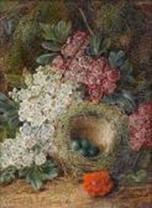 Fruit On A Mossy Bank; Flowers And A Bird's Nest On A Mossy Bank