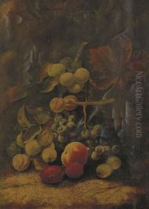 Still Life With Figs, Grapes, Peaches And Plums On A Stone Ledge by George Clare