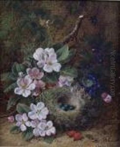 A Still Life Studyof A Hedge Sparrows Nest And Apple Blossom by George Clare