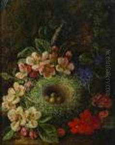 Still Life With Bird's Nest by George Clare