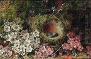 Flowers And A Bird's Nest On A Mossy Bank by George Clare