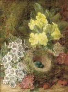 May Blossom, Primulas, Berries, And A Bird's Nest With Eggs by George Clare