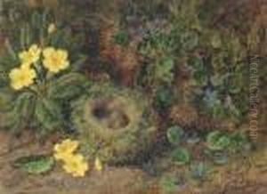 Primroses, Violets And A Bird's Nest With Eggs