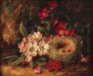 A Still Life Of Bird's Nest And Wild Flowers On A Mossy Bank by George Clare