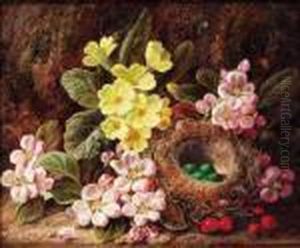 Primroses, Apple Blossom, And A Bird's Nest, On A Mossy Bank by George Clare