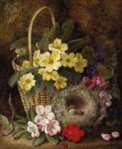 Still Life With Primroses, Violas, Cherry Blossom And Geraniums Anda Thrush's Nest