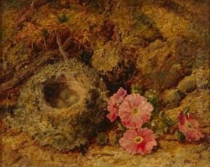 A Still Life With Flowers And Bird's Nest by Oliver Clare