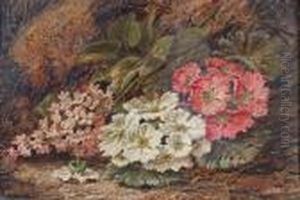 Spring Flowers by Oliver Clare