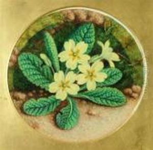 Primrose And Blossom Primrose And Blossom