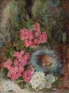 Spring Flowers And A Bird's Nest by Oliver Clare