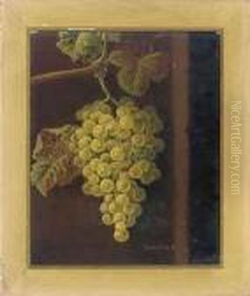White Grapes; And Red Grapes - view 1