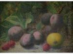 Still Life Of Plums, Raspberries And An Apple; Primroses And A Bird's Nest by Oliver Clare