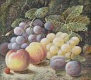 Still Life Study Fruit On A Mossy Bank Still Life Study Fruit On A Mossy Bank