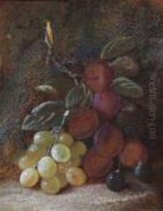 Still Life Of Grapes And Plus On A Mossy Ground