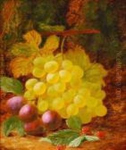 Still Life Of Grapesand Plums On A Mossy Bank Still Life Of Grapesand Plums On A Mossy Bank
