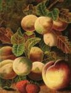 Still Life With Peaches And Plums: by Oliver Clare