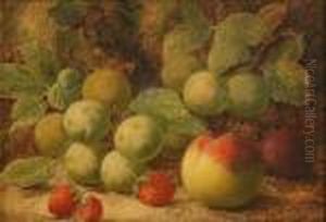 Still Life Study Of Greengages by Oliver Clare