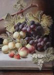 Black Grapes, Greengages, Peaches Andstrawberries On A Stone Ledge Black Grapes, Greengages, Peaches Andstrawberries On A Stone Ledge