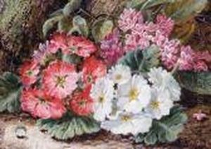 Still Life Of Primroses On A Mossy Bank