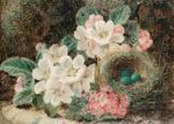 Apple Blossom And A Bird's Nest On A Mossybank - view 1