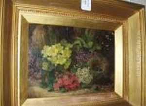 Still Life With Bird's Nest And Primroses On Amossy Bank, Signed