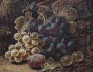Still Life Of Grapes, Gooseberries And A Plum On A Mossy Bank by Oliver Clare