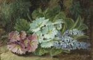 Primula On A Mossy Bank
