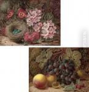 A Bird's Nest With Pansies And Hawthorn Blossom; And Apples, Grapes And Greengages A Bird's Nest With Pansies And Hawthorn Blossom; And Apples, Grapes And Greengages