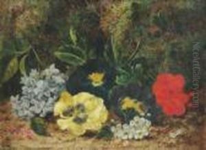 Pansies And Other Flowers