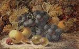 Still Lifes Of Fruit And Vines.