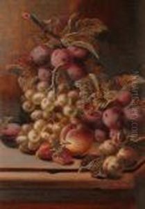 Still Lifes Of Fruit. Still Lifes Of Fruit.