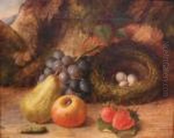 Still Life With Fruit And A Bird's Nest - view 1