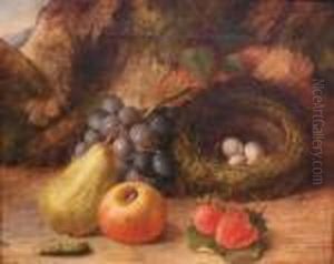 Still Life With Fruit And A Bird's Nest by Oliver Clare