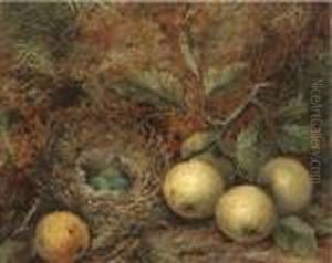 Apples And A Bird's Nest On A Mossy Bank by Oliver Clare