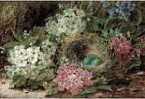 Still Life Of Flowers And A Bird Nest; Still Life Of Fruit