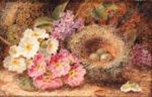 Primroses, Primulas, A Bird's Nest With Eggs, On A Mossy Bank