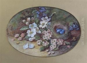 Still Lifes Of Fruit, Blossom And A Birds Nest