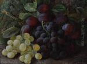 Still Life Study Grapes And Plums On A Mossy Bank Still Life Study Grapes And Plums On A Mossy Bank