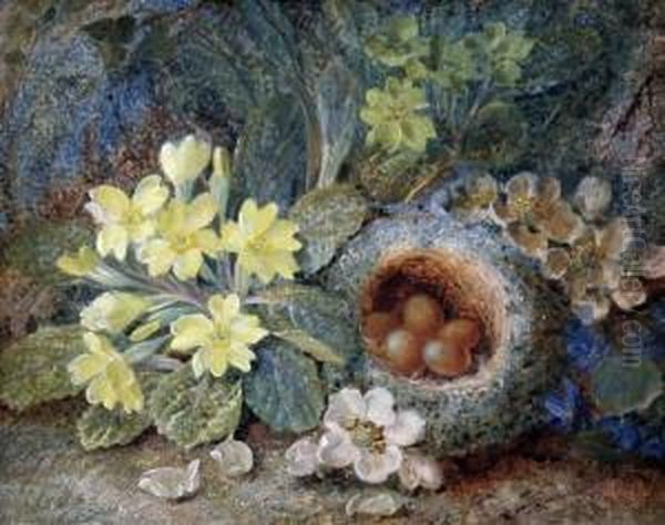 Still Life Of A Primrose, Birds Nest And Apple Blossom - view 1