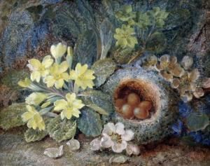 Still Life Of A Primrose, Birds Nest And Apple Blossom by Vincent Clare