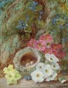 Primroses And A Bird's Nest On A Mossy Bank by Vincent Clare