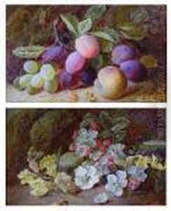 Green Grapes, Plums And A Peach; Dog Roses Andyellow Snapdragons