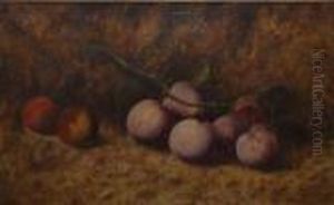 Still Life Study Of Plums On A Mossy Bank Still Life Study Of Plums On A Mossy Bank