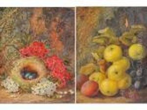 Natura Morta Di Frutta - Natura Morta Di Fiori Con Nido by Vincent Clare