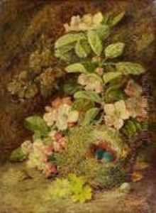 Waldstilleben Mit Wildrosen Und Vogelnest Mit Gelege by Vincent Clare